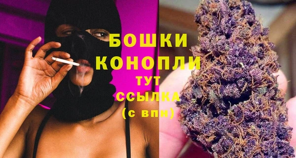 Альфа ПВП Аркадак