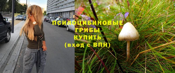 Альфа ПВП Аркадак