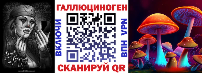 наркошоп маркетплейс состав mega tor Галлюциногенные грибы Cubensis Лахденпохья